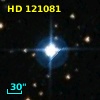 HD 121081