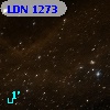 LDN 1273