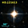 HD 121613