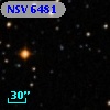 NSV  6481
