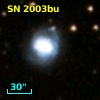 SN 2003bu