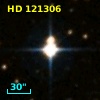 HD 121306