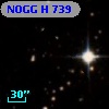 NOGG H  739