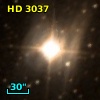 HD   3037