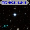 TYC 4028-110-1