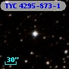 TYC 4295-873-1