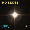 HD 123783