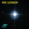 HD 123929