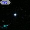 TYC 2013-442-1