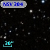 NSV   304