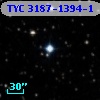 TYC 3187-1394-1