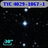 TYC 4029-1067-1