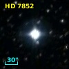 HD   7852