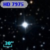 HD   7975