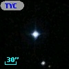 TYC 2013-245-1
