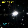 HD   7537
