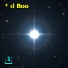 * d Boo