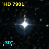 HD   7901