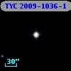 TYC 2009-1036-1