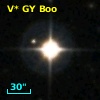 V* GY Boo