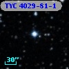 TYC 4029-81-1