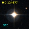 G 135-31
