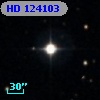 HD 124103