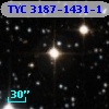 TYC 3187-1431-1