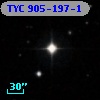 TYC  905-197-1