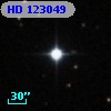 HD 123049