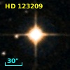 HD 123209