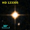 HD 123305