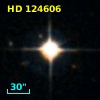 HD 124606