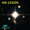HD 123234
