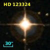 HD 123324