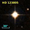 HD 123805