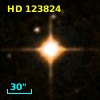 HD 123824