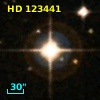 HD 123441