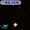** BAL  1170