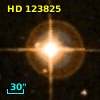 HD 123825