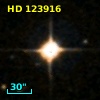 HD 123916