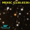 CGCS  307