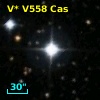 V* V558 Cas