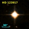 HD 123917
