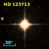 HD 123713