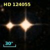 HD 124055