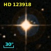 HD 123918