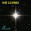 HD 123982