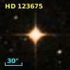 HD 123675