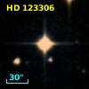 HD 123306